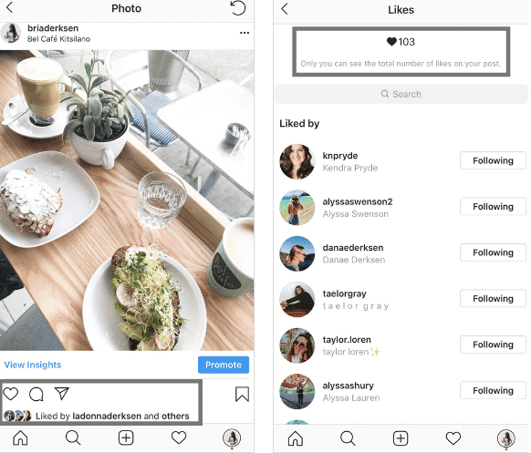 How to show instagram likes