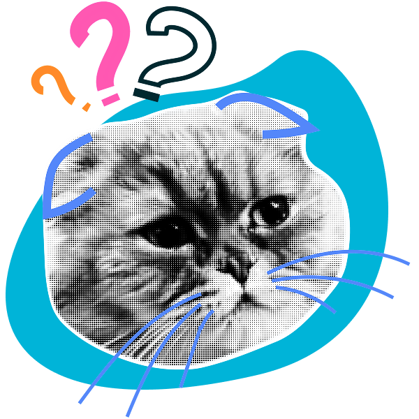Frequently asked questions